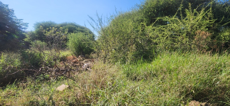 Commercial Property for Sale in Bendor Limpopo