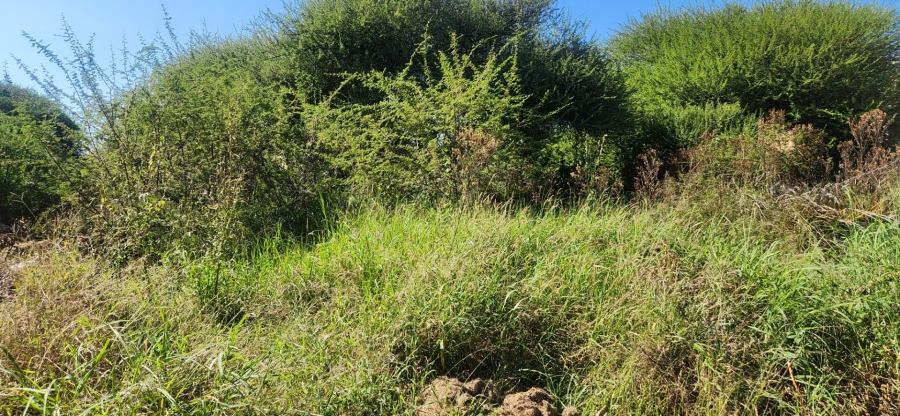 Commercial Property for Sale in Bendor Limpopo