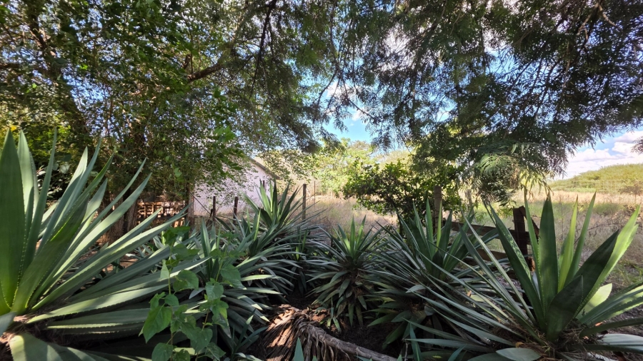 Commercial Property for Sale in Palm A H Limpopo