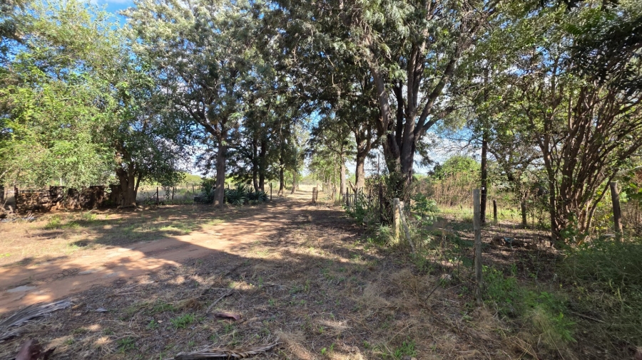 Commercial Property for Sale in Palm A H Limpopo