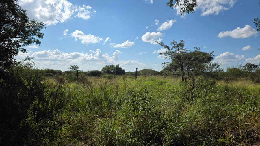Commercial Property for Sale in Palm A H Limpopo
