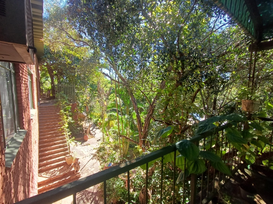 3 Bedroom Property for Sale in Thabazimbi Limpopo