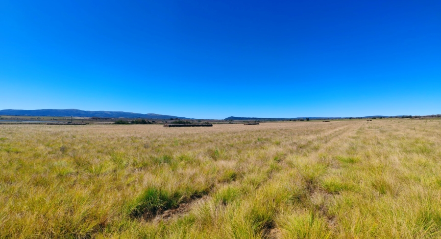 Commercial Property for Sale in Modimolle Limpopo