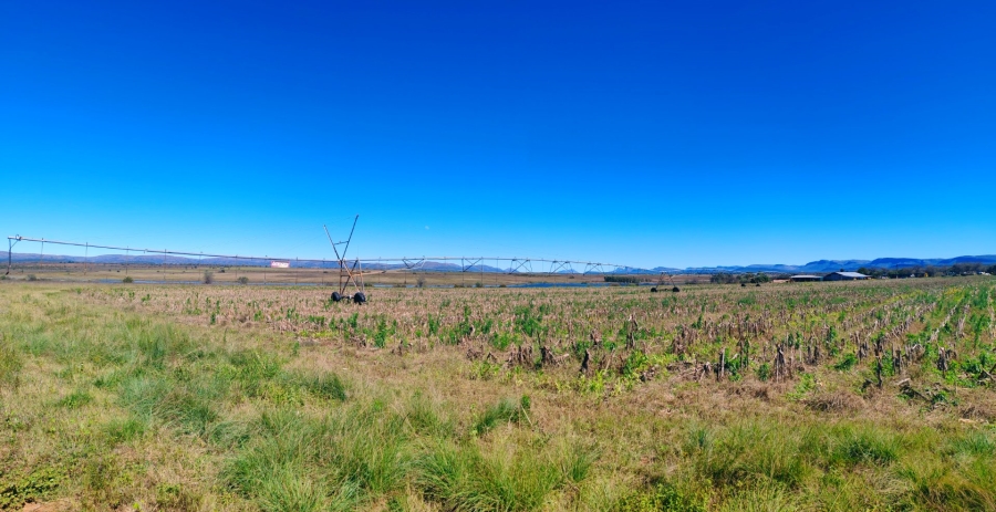 Commercial Property for Sale in Modimolle Limpopo