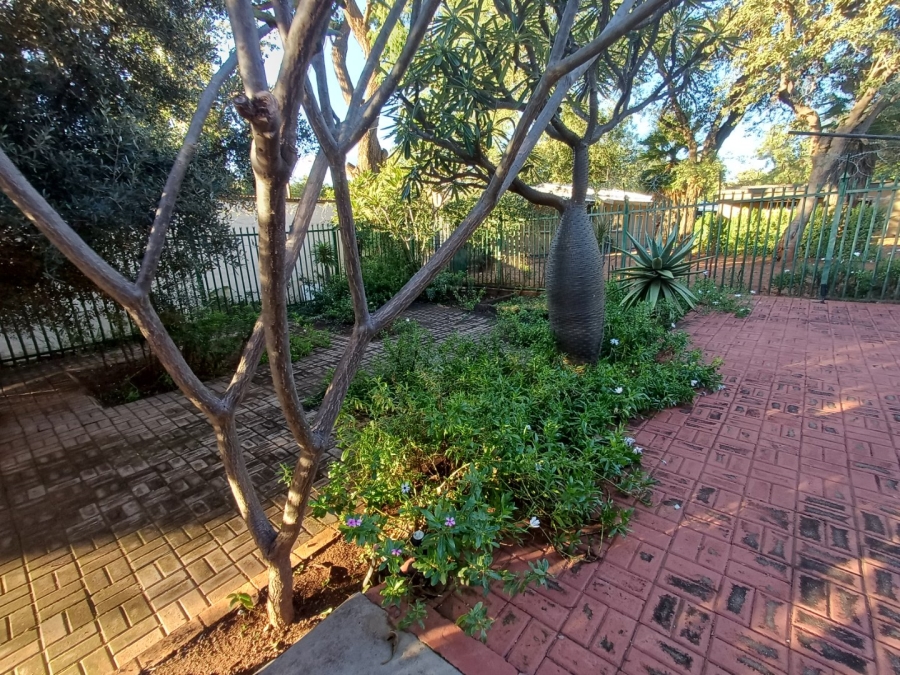 3 Bedroom Property for Sale in Thabazimbi Limpopo