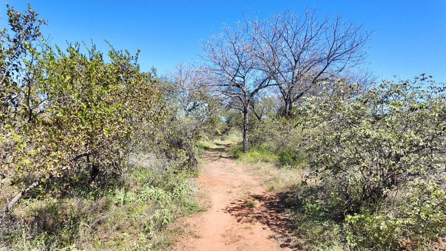 Commercial Property for Sale in Lephalale Limpopo