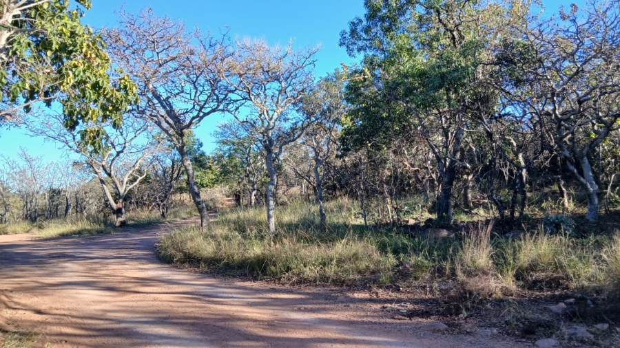 6 Bedroom Property for Sale in Vaalwater Limpopo