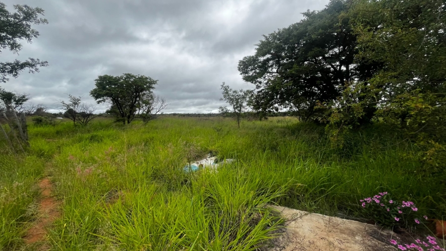 Commercial Property for Sale in Palmietfontein Limpopo