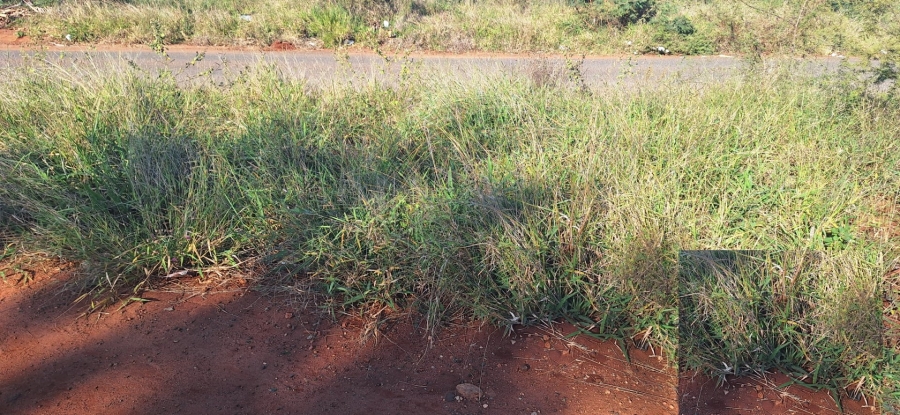 Commercial Property for Sale in Chroompark Limpopo