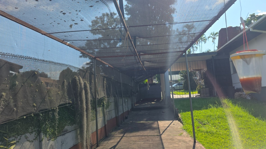 To Let 3 Bedroom Property for Rent in Medi Park Limpopo