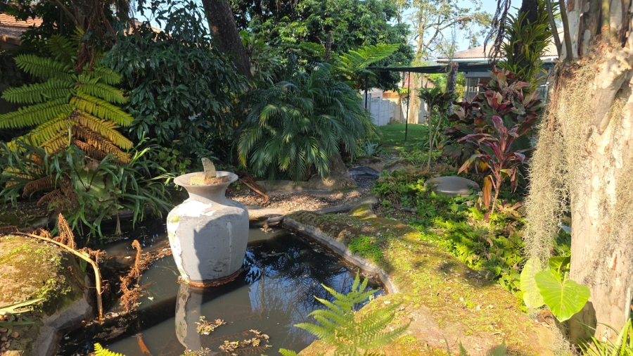 To Let 3 Bedroom Property for Rent in Medi Park Limpopo
