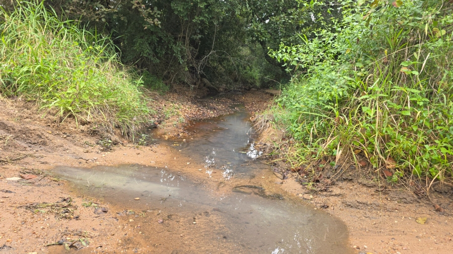Commercial Property for Sale in Tzaneen Rural Limpopo