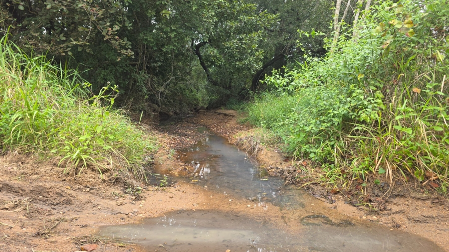 Commercial Property for Sale in Tzaneen Rural Limpopo
