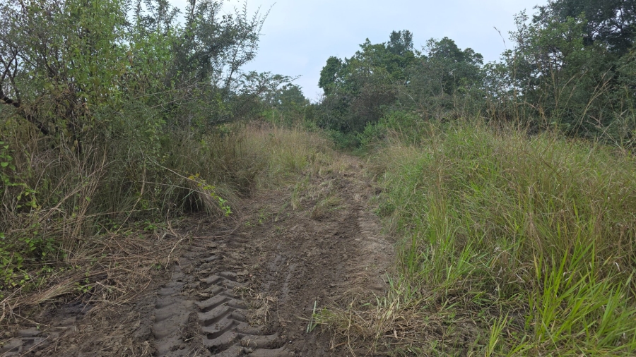 Commercial Property for Sale in Tzaneen Rural Limpopo