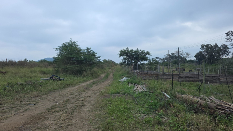 Commercial Property for Sale in Tzaneen Rural Limpopo