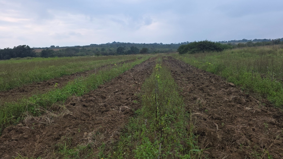 Commercial Property for Sale in Tzaneen Rural Limpopo