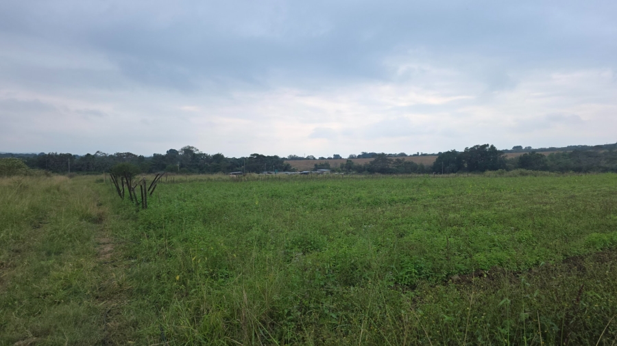 Commercial Property for Sale in Tzaneen Rural Limpopo