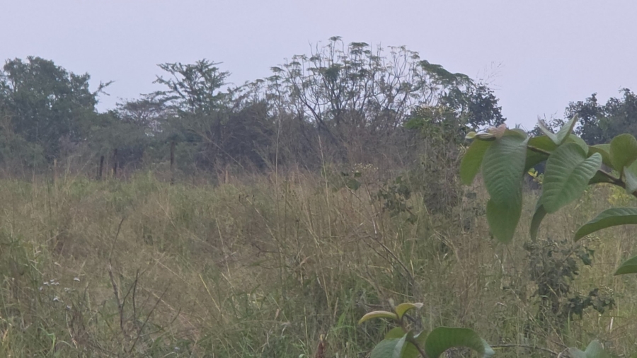 Commercial Property for Sale in Tzaneen Rural Limpopo