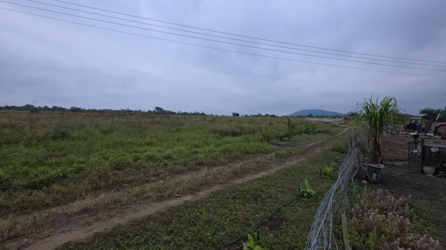 Commercial Property for Sale in Tzaneen Rural Limpopo