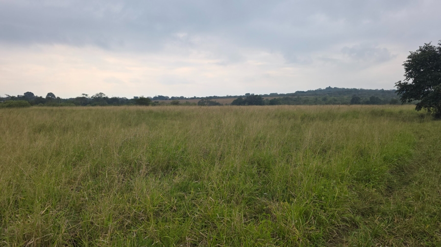 Commercial Property for Sale in Tzaneen Rural Limpopo