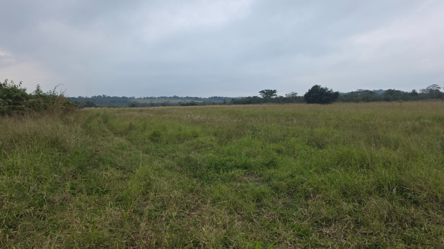 Commercial Property for Sale in Tzaneen Rural Limpopo