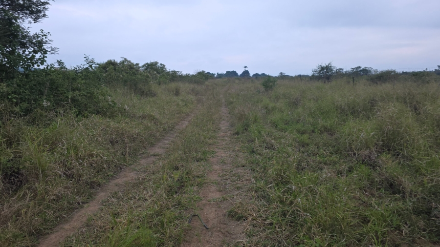 Commercial Property for Sale in Tzaneen Rural Limpopo
