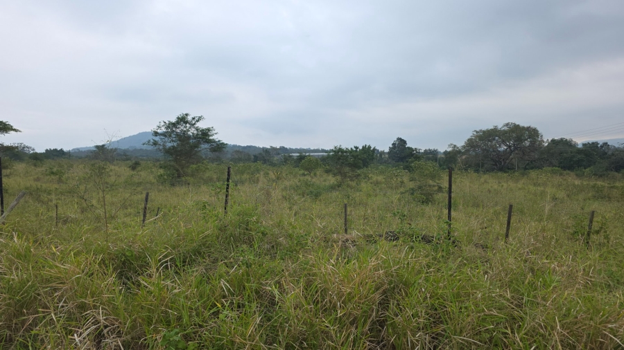 Commercial Property for Sale in Tzaneen Rural Limpopo