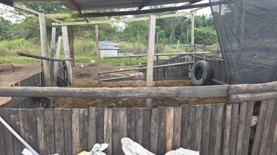 Commercial Property for Sale in Tzaneen Rural Limpopo