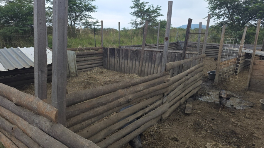 Commercial Property for Sale in Tzaneen Rural Limpopo