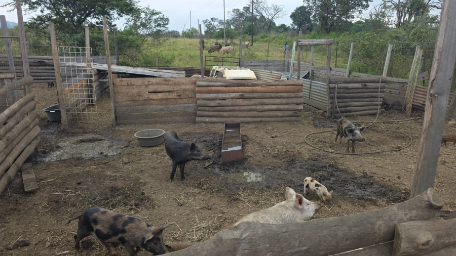 Commercial Property for Sale in Tzaneen Rural Limpopo