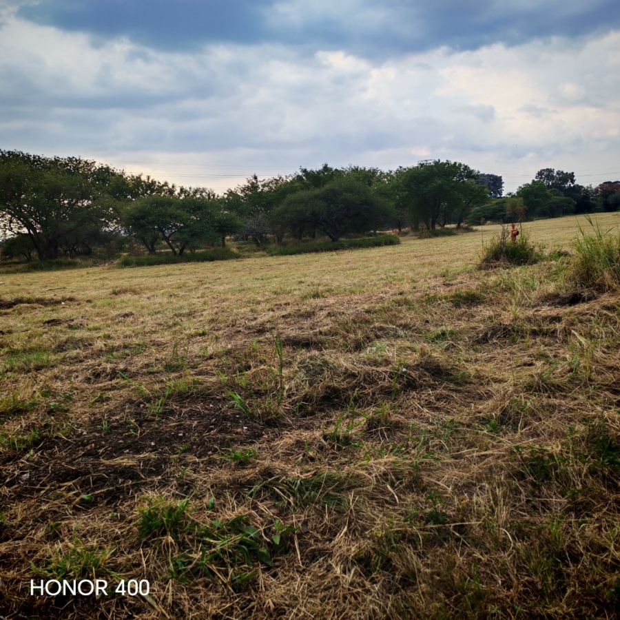 Commercial Property for Sale in Bendor Limpopo