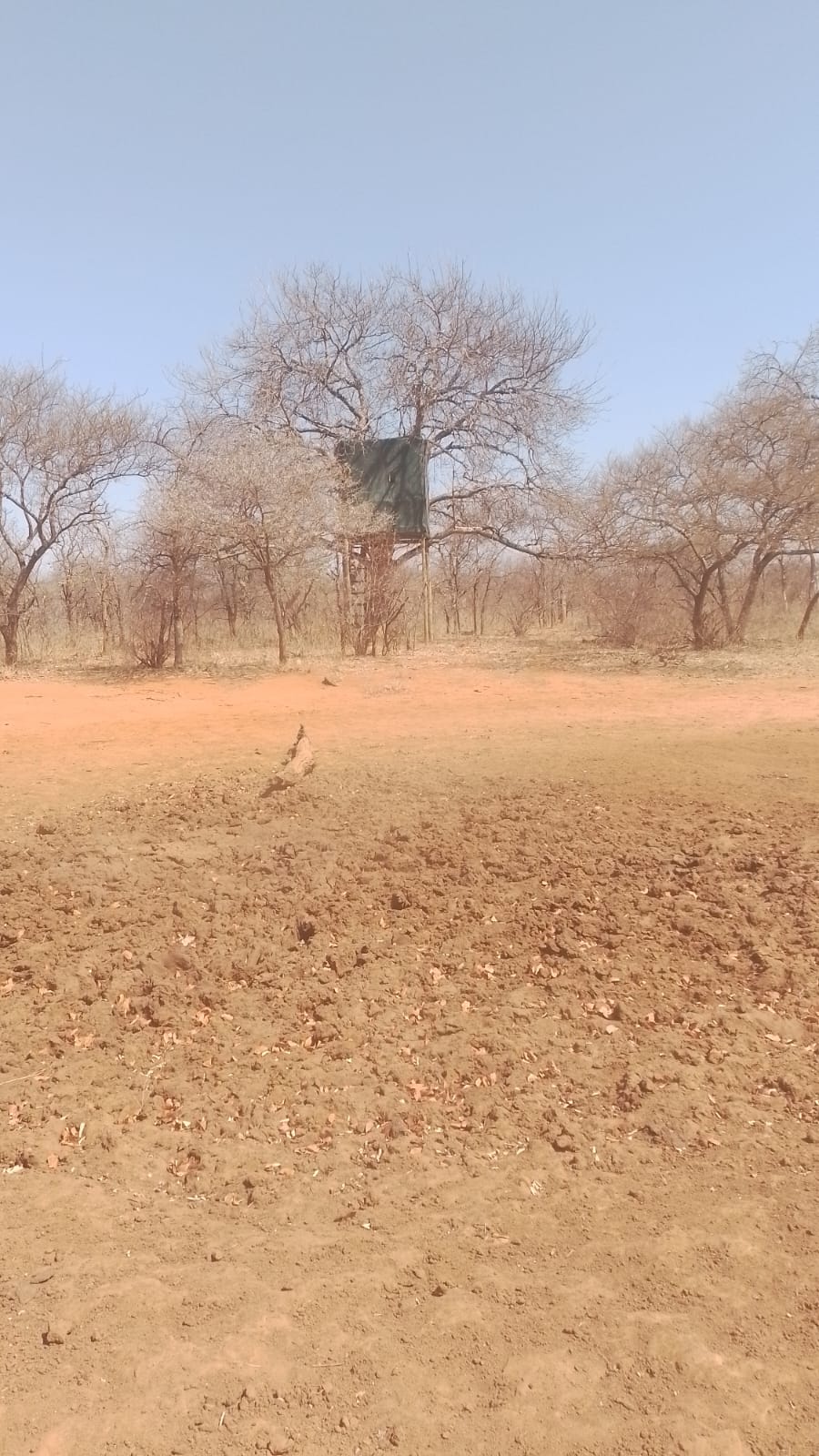 Commercial Property for Sale in Musina Limpopo