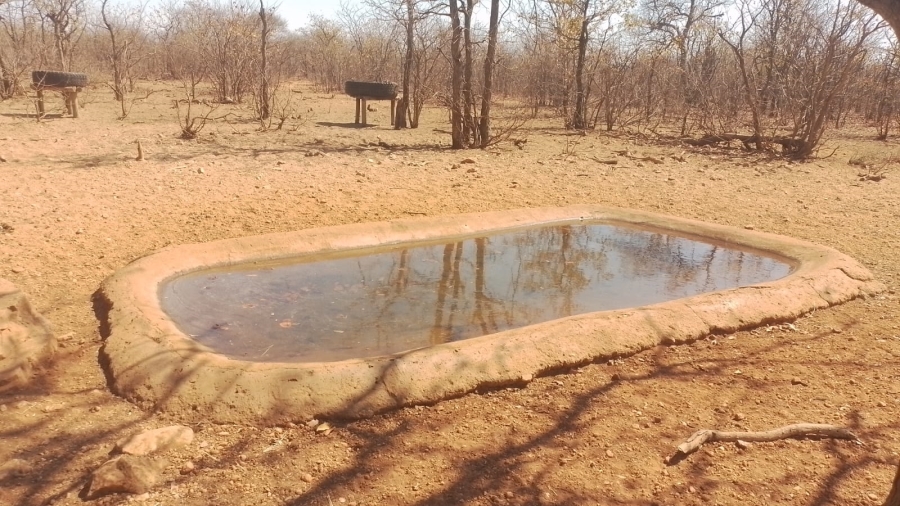 Commercial Property for Sale in Musina Limpopo