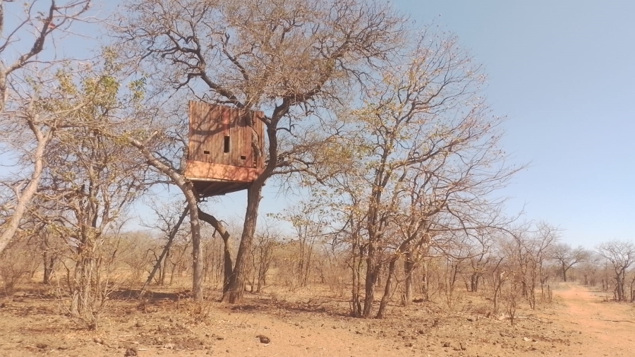 Commercial Property for Sale in Musina Limpopo