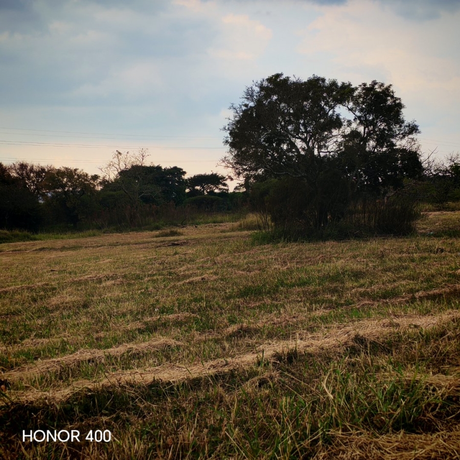 Commercial Property for Sale in Bendor Limpopo