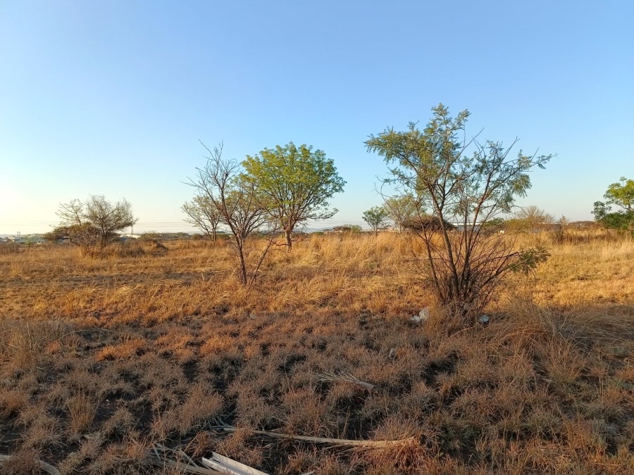 Commercial Property for Sale in Bendor Limpopo