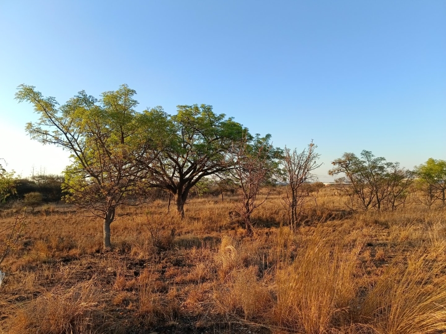 Commercial Property for Sale in Bendor Limpopo