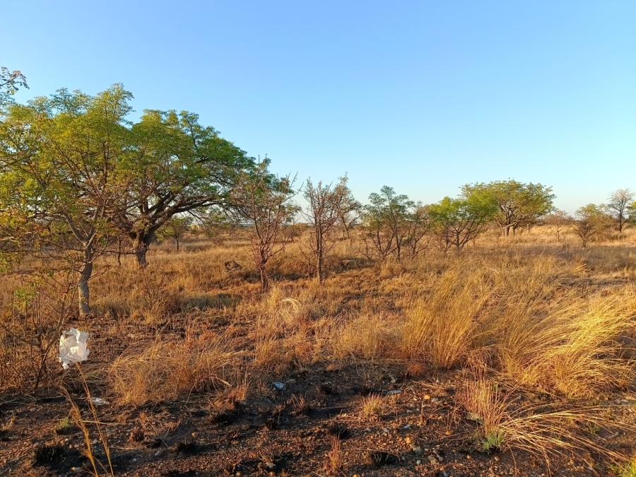 Commercial Property for Sale in Bendor Limpopo