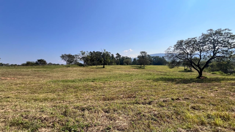 Commercial Property for Sale in Louis Trichardt Limpopo