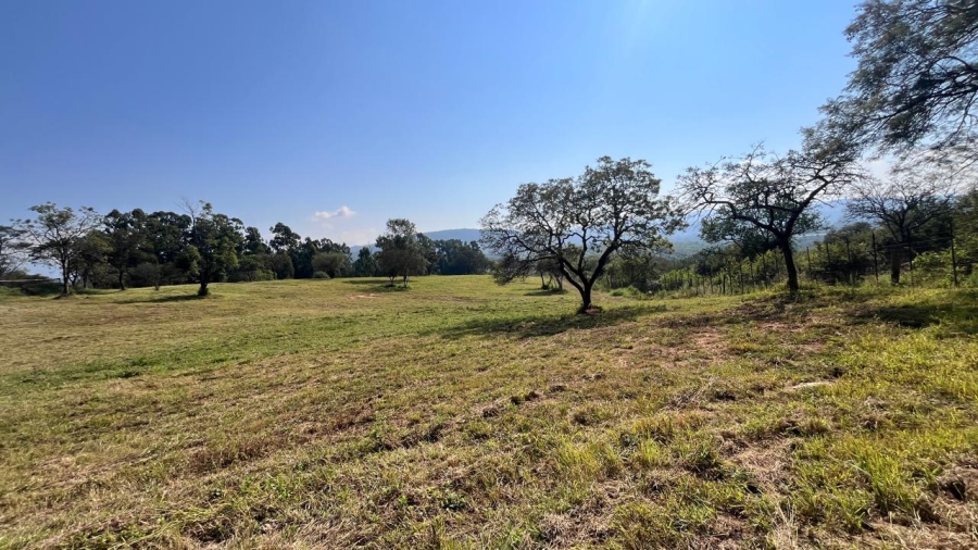 Commercial Property for Sale in Louis Trichardt Limpopo