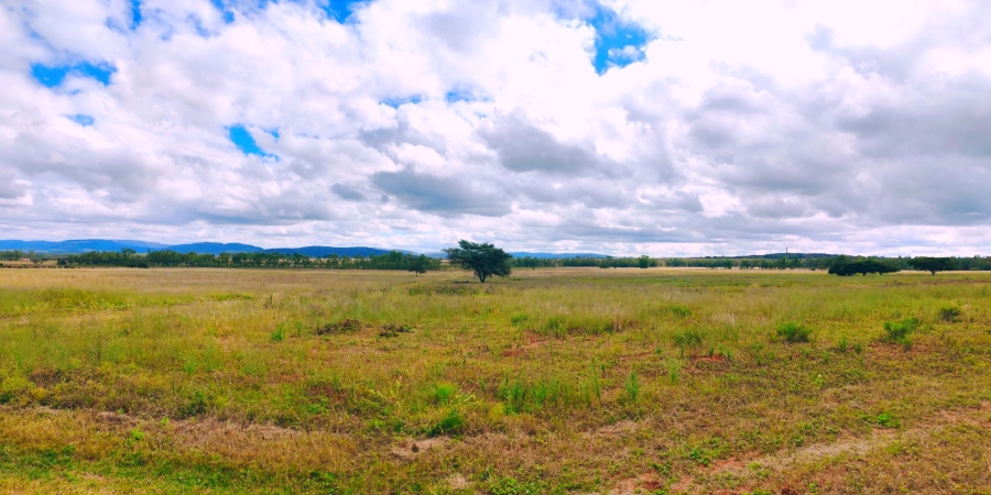 Commercial Property for Sale in Modimolle Limpopo