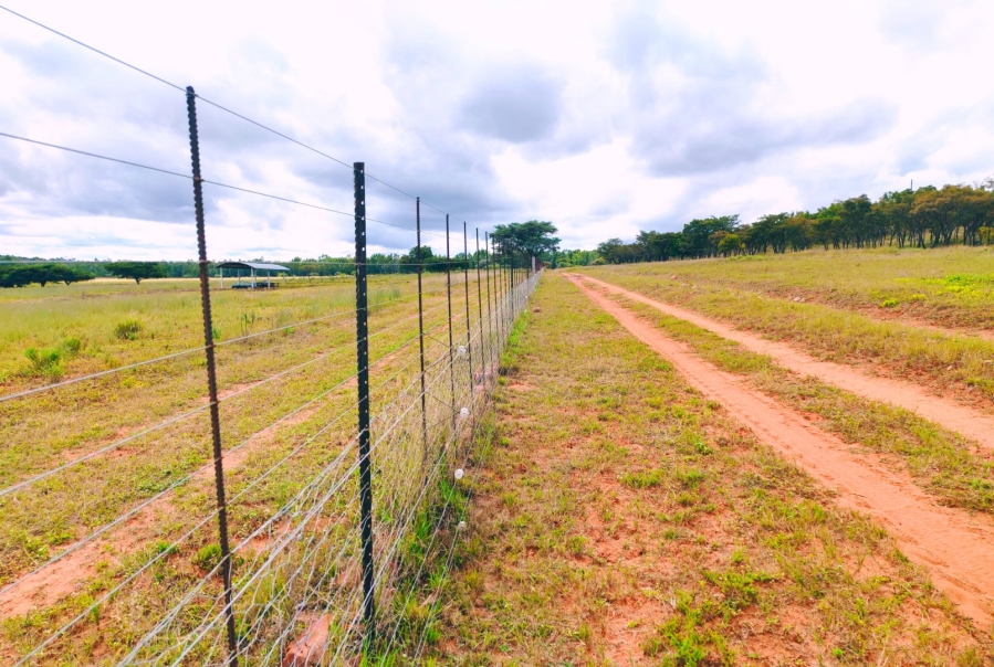 Commercial Property for Sale in Modimolle Limpopo