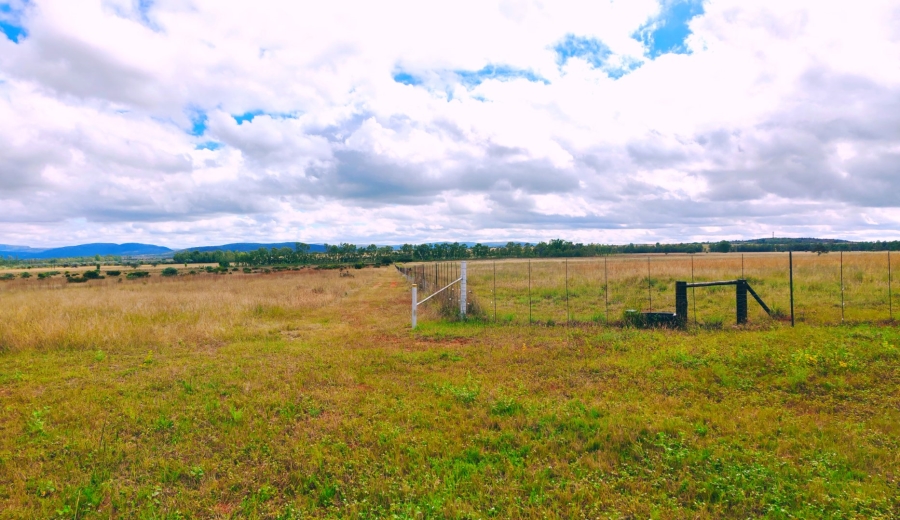 Commercial Property for Sale in Modimolle Limpopo