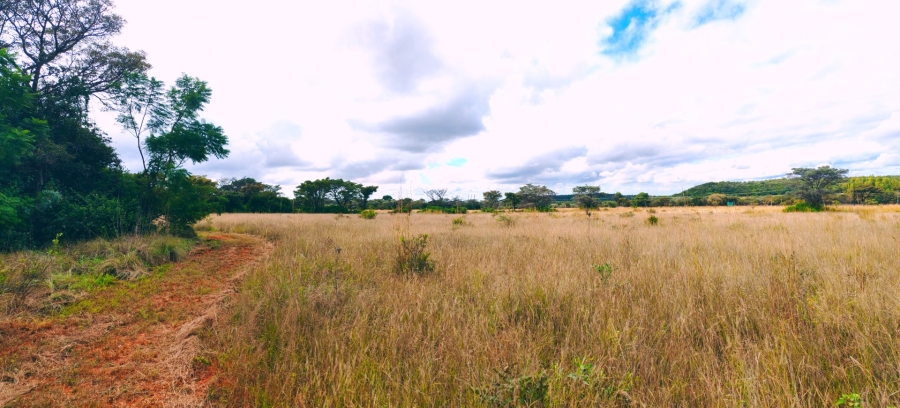 Commercial Property for Sale in Modimolle Limpopo
