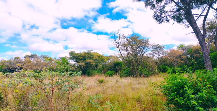 Commercial Property for Sale in Modimolle Limpopo
