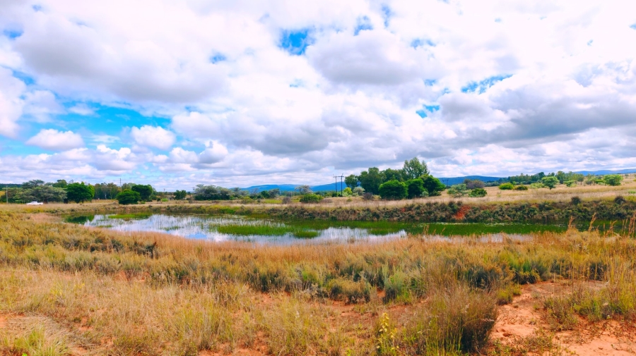Commercial Property for Sale in Modimolle Limpopo