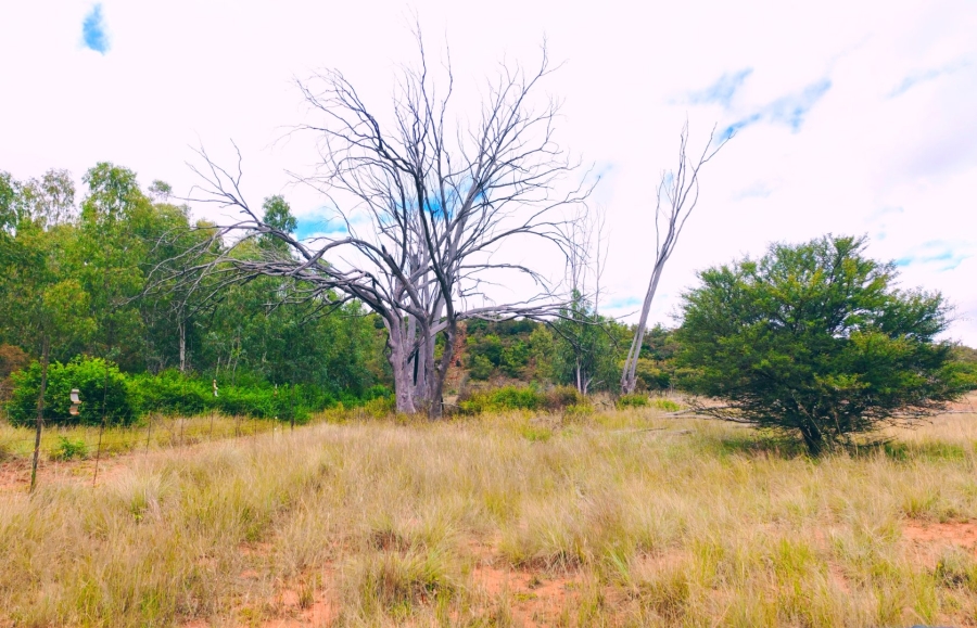 Commercial Property for Sale in Modimolle Limpopo