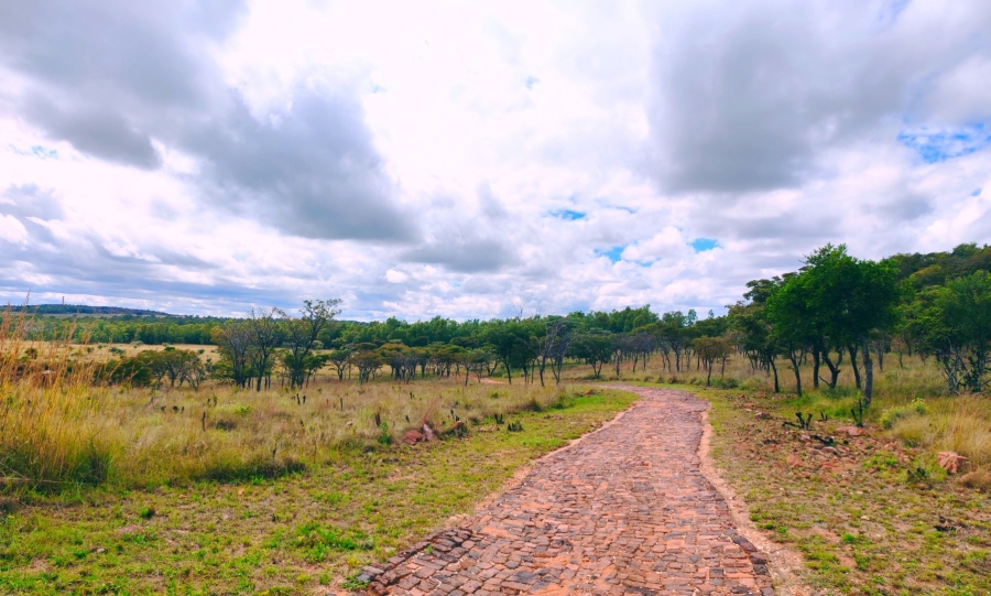 Commercial Property for Sale in Modimolle Limpopo