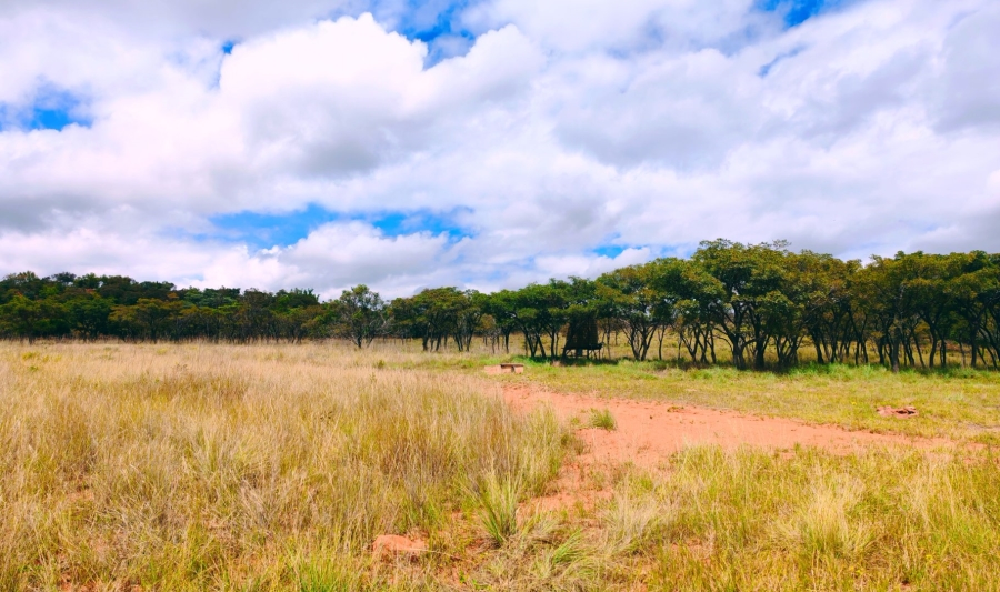 Commercial Property for Sale in Modimolle Limpopo