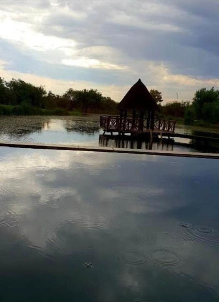 4 Bedroom Property for Sale in Modimolle Limpopo